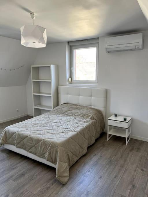Appartement F5 Maison De Maitre Мюлуз Екстериор снимка