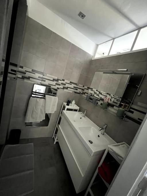 Appartement F5 Maison De Maitre Мюлуз Екстериор снимка