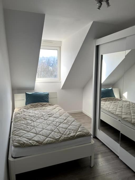 Appartement F5 Maison De Maitre Мюлуз Екстериор снимка
