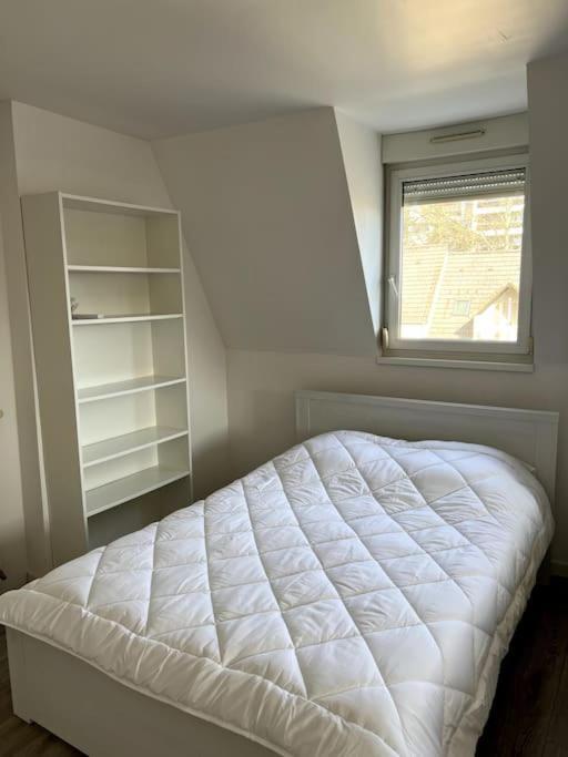 Appartement F5 Maison De Maitre Мюлуз Екстериор снимка