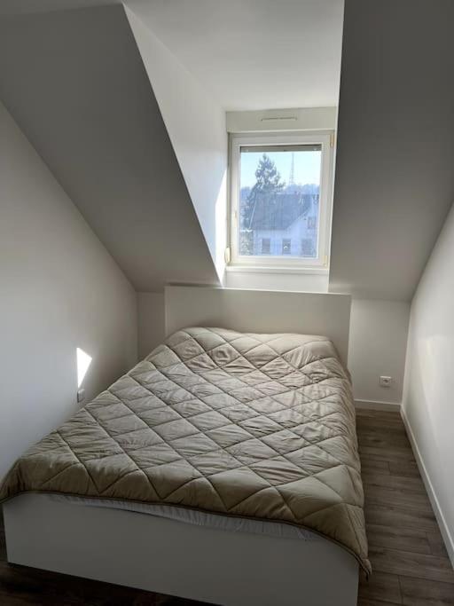 Appartement F5 Maison De Maitre Мюлуз Екстериор снимка